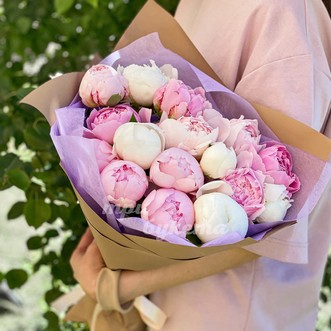 Букет из 19 пионов