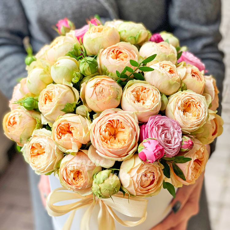 25 пионовидных роз в коробке (в руках флориста)