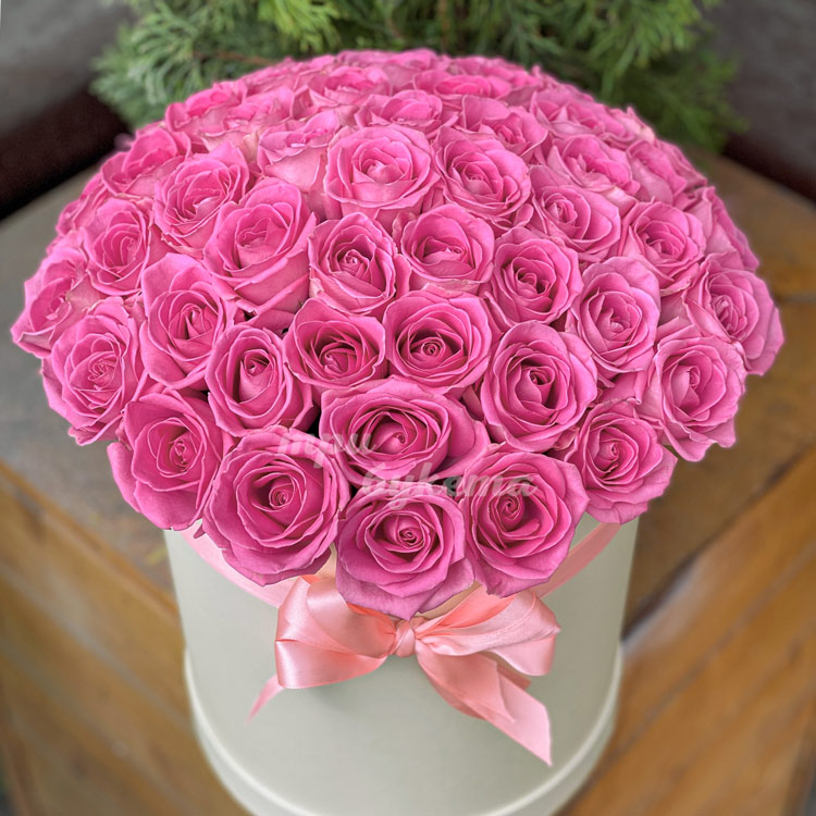 51 розовая роза в коробке (на клумбе)