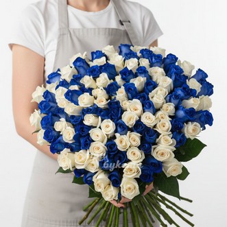 101 белая и синяя роза (Premium)