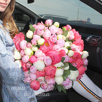 Пионы Mix 65 шт.