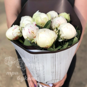 Букет из 11 белых пионов